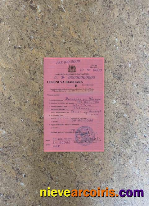 Tanzania business license photolook